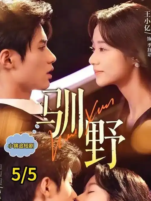 免费在线看 乘风2024